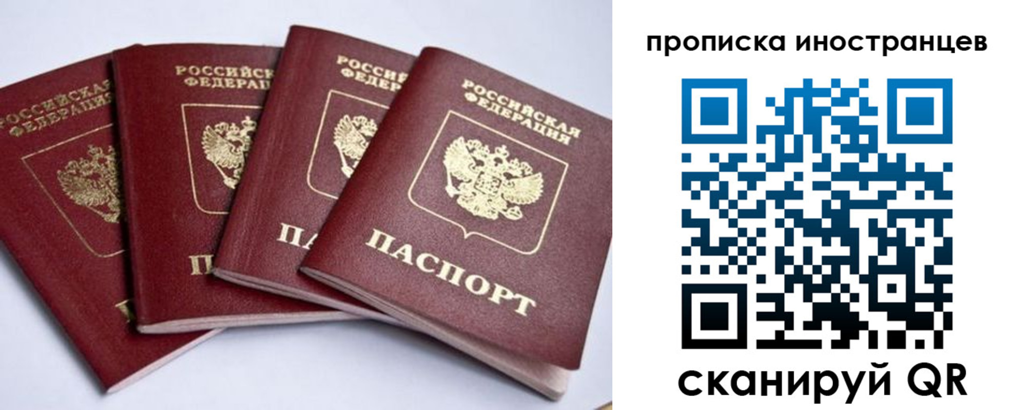 найти адрес прописки в Ставрополе
